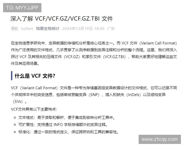 深入探讨北京足球队战术表现的数据分析与策略优化研究