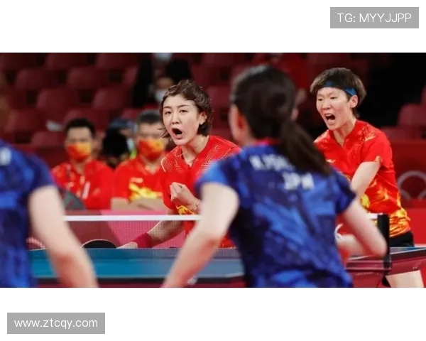 南京乒乓球队的节奏与发展探索聚焦乒乓球运动的未来之路